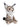 Plush toy lynx on a white background