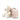 Small cream-colored teddy bear with a pink suitcase on a white background