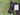 Hobby horse with a label on a grassy background