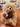 A fluffy beige stuffed teddy bear with shaggy fur, a black embroidered nose, and a sheer brown ribbon bow tied around its neck, with a product tag attached. The bear is sitting on a wooden table with a blurred store background and the letter B on its tag.