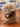 A fluffy teddy bear plush toy with shaggy beige fur, a dark brown bow around its neck, and a hanging maroon tag, photographed on a wooden table in a store setting with the letter C on its tag.