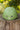 A matte olive green safety helmet with ventilation holes and a white circular 'Z' logo on the front, resting on a rustic wooden tree stump with a blurred green forest background.