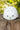A white safety helmet with ventilation holes and a green circular 'Z' logo on the front, resting on a rustic wooden log with a blurred green forest background.