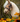 Close-up of a plush hobby horse toy with a bridle, surrounded by yellow flowers.