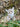 Plush toy lynx in a natural setting with rocks and grass.