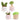 Little Living Nature, Little Greens