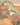 Play Mats & Activity Toys