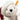 White teddy bear with a red scarf and yellow tag on a white background