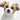 Close-up of a plush dog toy with brown and white fur on a white background