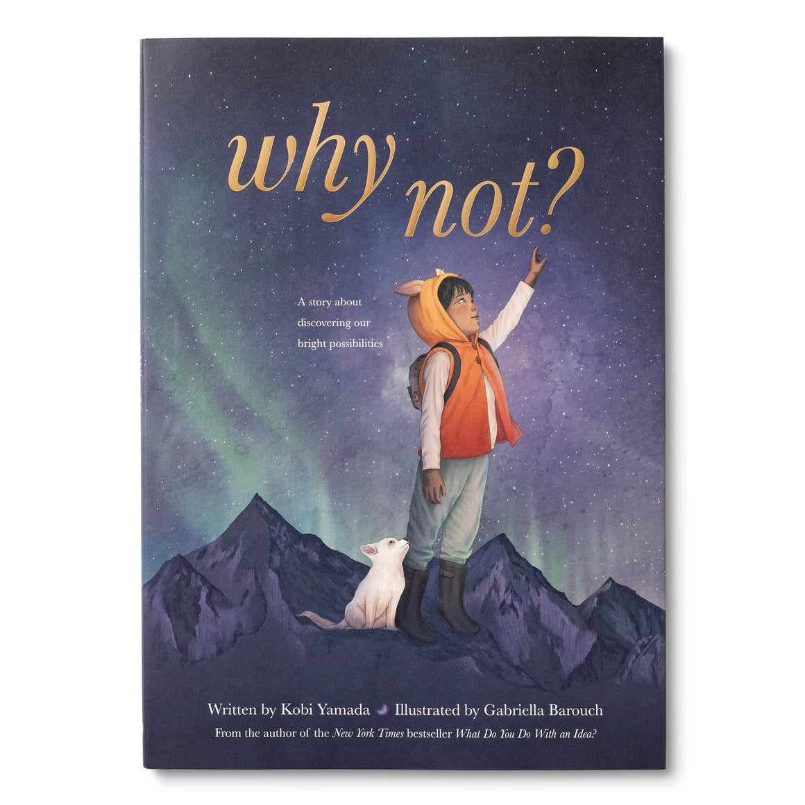 Why Not? – Little Paper Planes