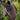 Hobby horse toy with bridle in a grassy field