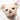 Close-up of a Marilyn Monroe teddy bear with red lips, pearl earrings and a gold Steiff tag in her ear on a white background