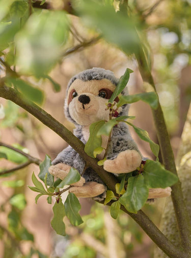 Charlie Bears Cuddle Cub, Sloth