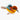 Colorful plush bird on a white background