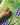 Hand interacting with a children's book featuring illustrations of dogs and people on a checkered fabric background.