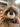 Close-up of a large racoon teddy wearing a plaid bandana with a store interior in the background