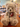 A plush teddy bear with grey and sparkling fur sits on a wooden table in a gift shop. The bear has a dark brown nose, black eyes, and a gray patterned scarf with a red and white tag attached. He is labelled Bear A.