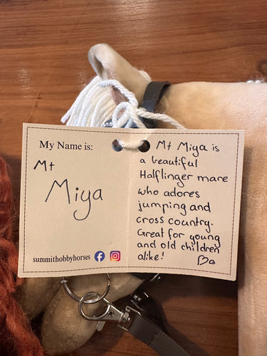 Handwritten note about Mt Juliet by her 13 year old maker