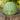 A matte olive green safety helmet with ventilation holes and a white circular 'Z' logo on the front, resting on a rustic wooden tree stump with a blurred green forest background.