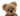 Close-up of a teddy bear with a checkered bow tie on a white background