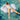 Person lounging on a cloud-shaped inflatable pool float in clear blue water