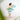 Quut Swim Ring 55 cm Dino, second view