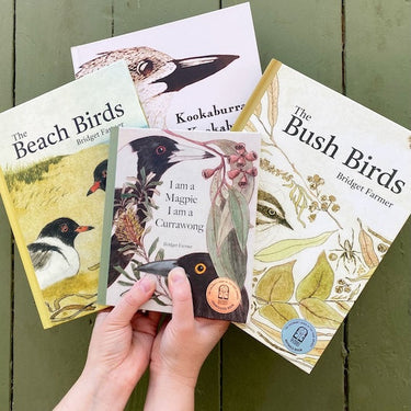The Beach Birds - A Lift The Flap Book