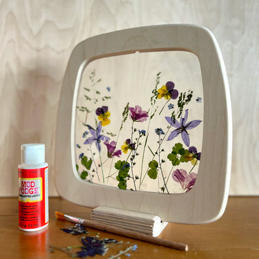 Pressed flowers in a natural wooden frame 