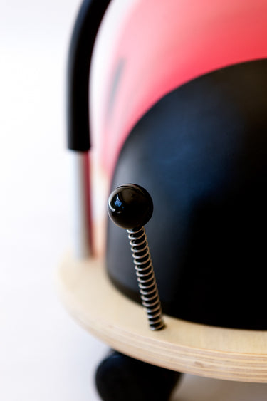 Wheely Bug, Large Ladybug