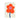 WRAP, Happy Flower Greeting Card