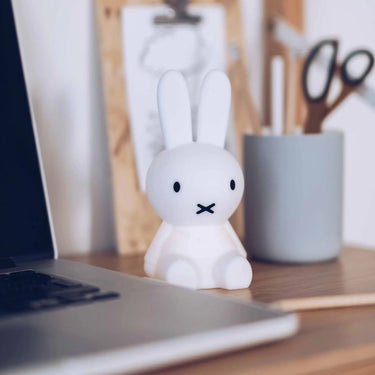 Mr Maria, Bundle of Lights - Miffy