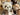 Close-up of a teddy bear with a bow, surrounded by other teddy bears.