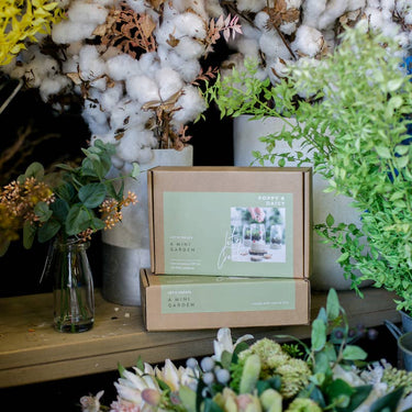 Poppy & Daisy Mini Garden Kit
