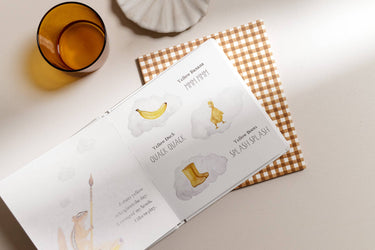 Paige Tate & Co, Wishy Washy: A Board Book of First Words and Colours