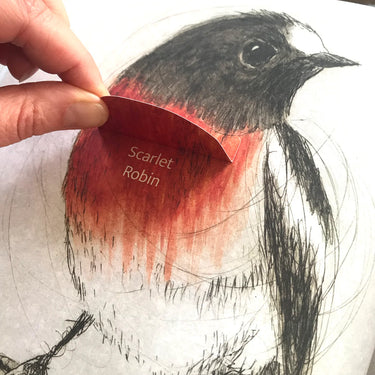 The Bush Birds - A Lift The Flap Book